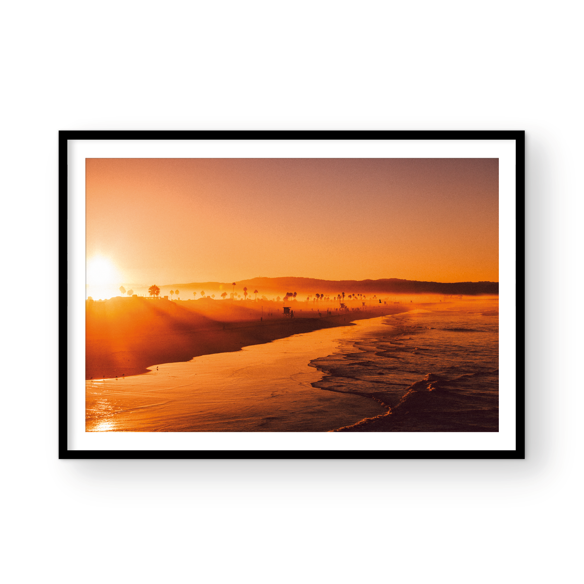 NEWPORT SUNRISE