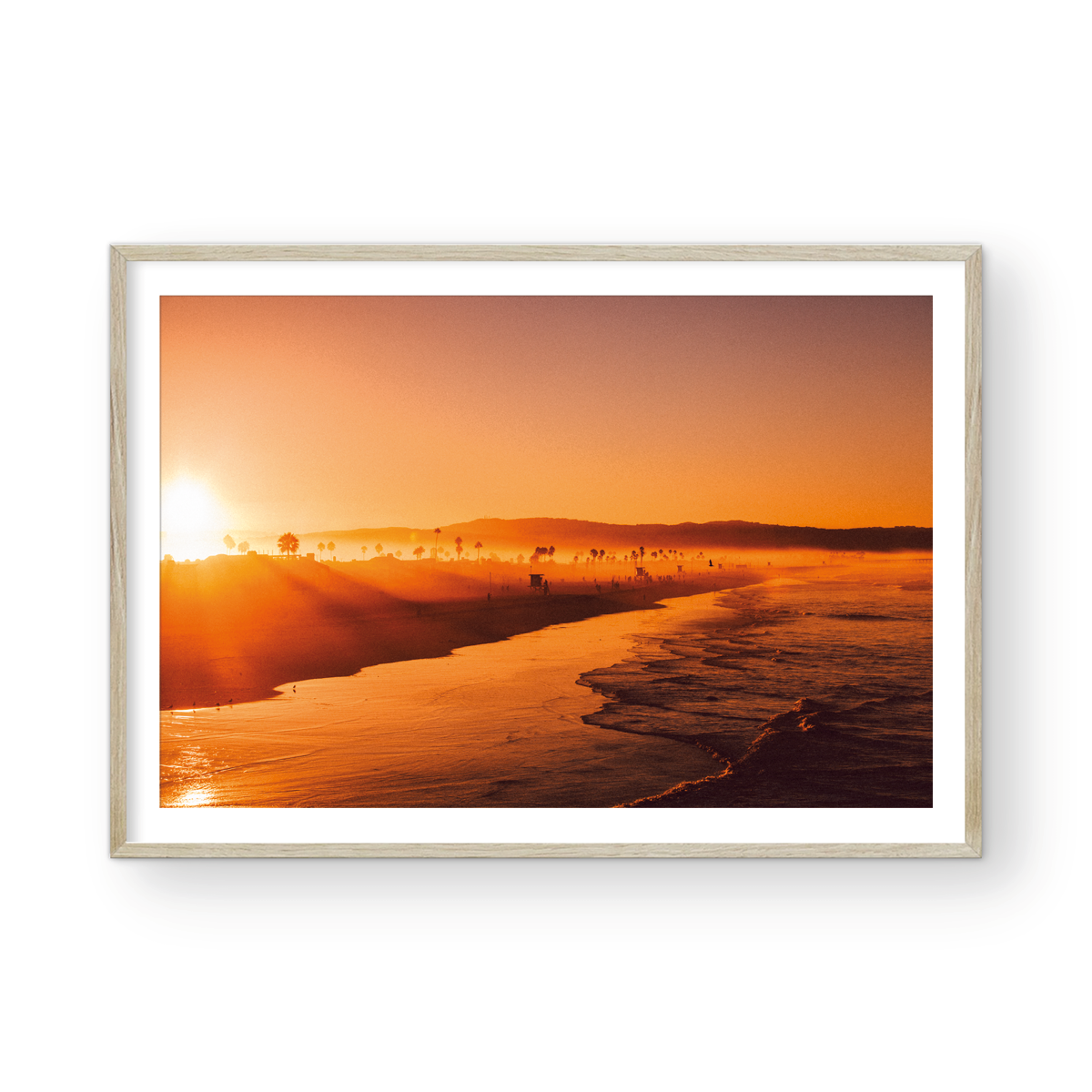 NEWPORT SUNRISE