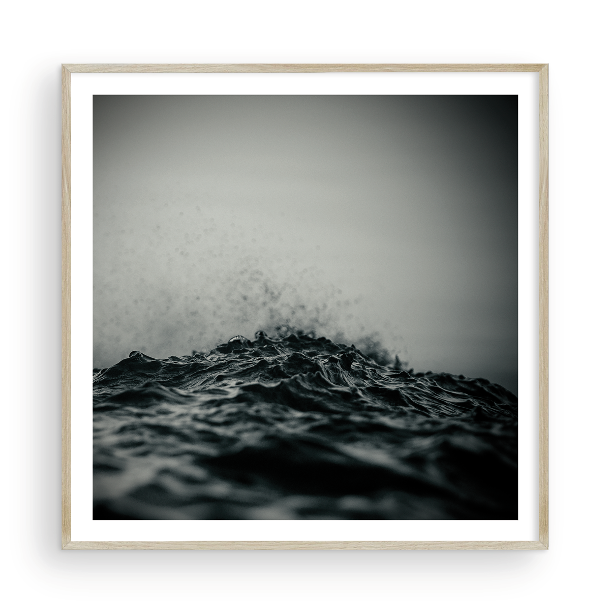 SPLASH