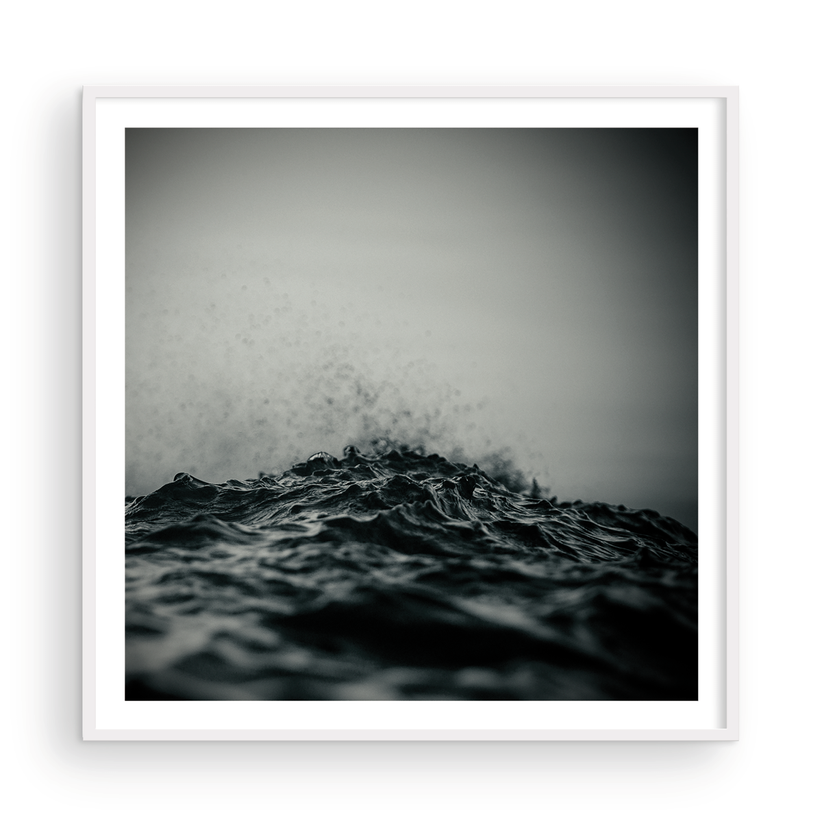 SPLASH