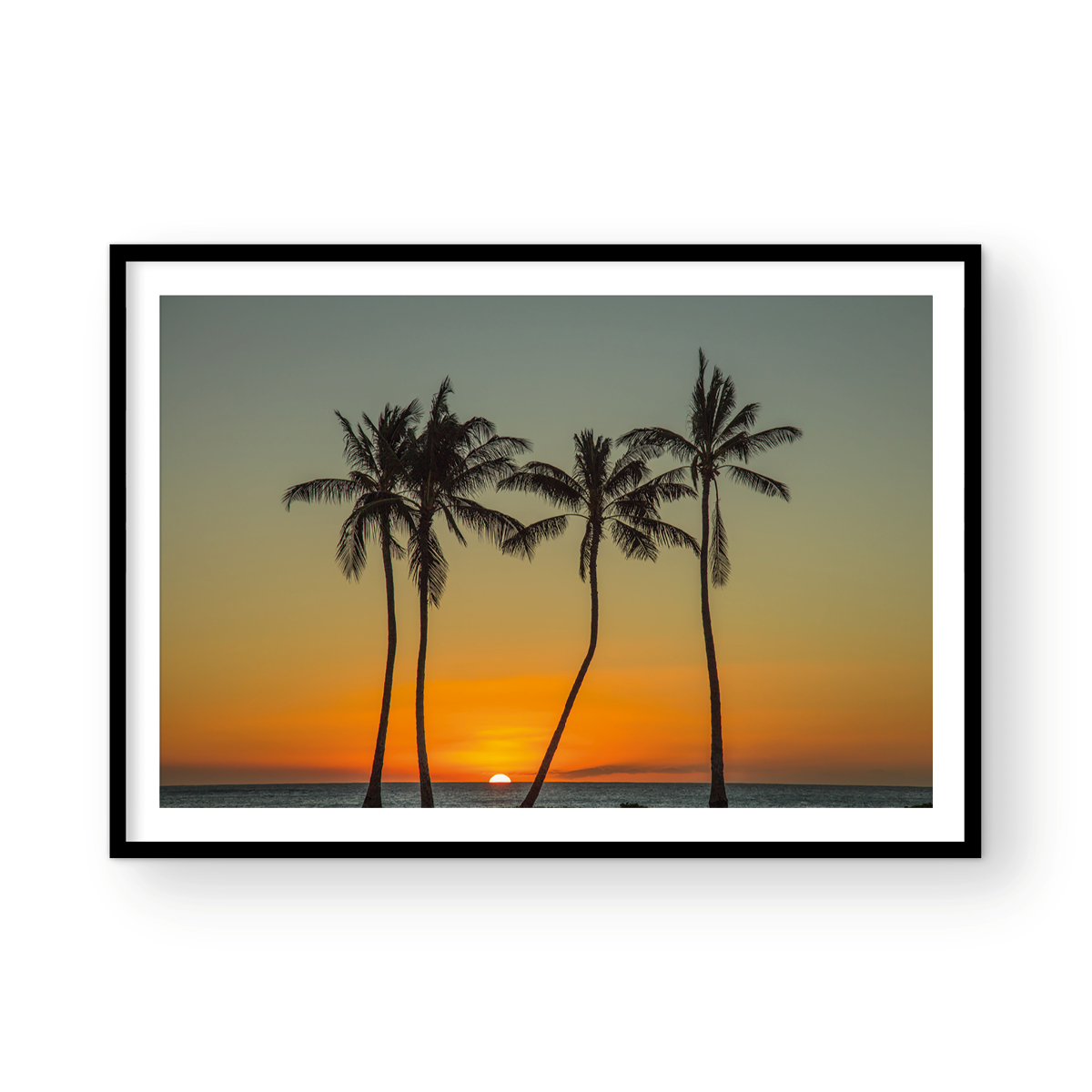 4 PALMS
