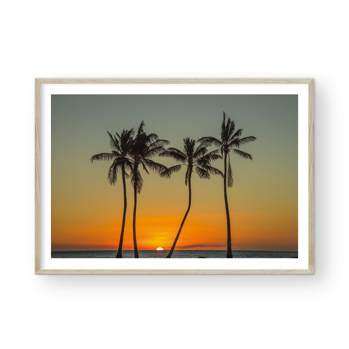4 PALMS