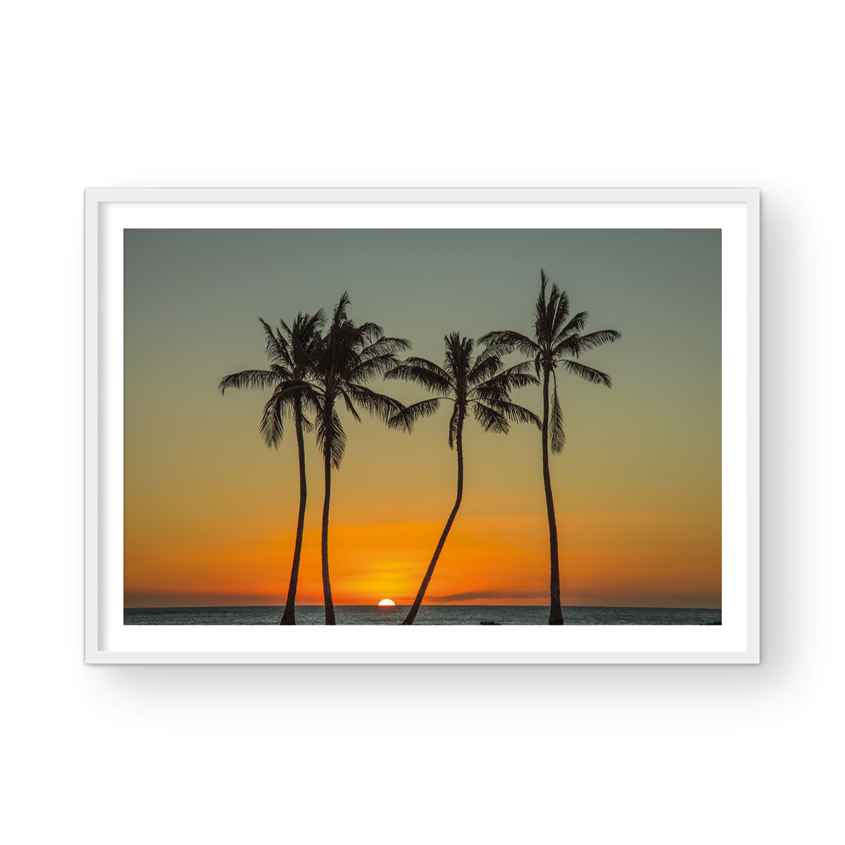 4 PALMS