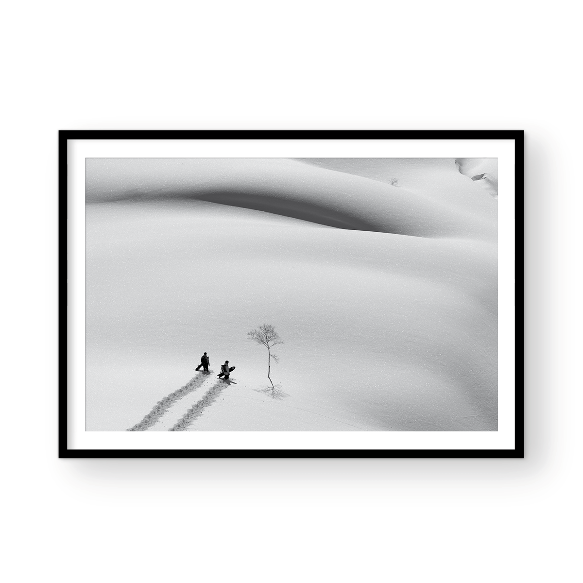 POWDER KINGDOM