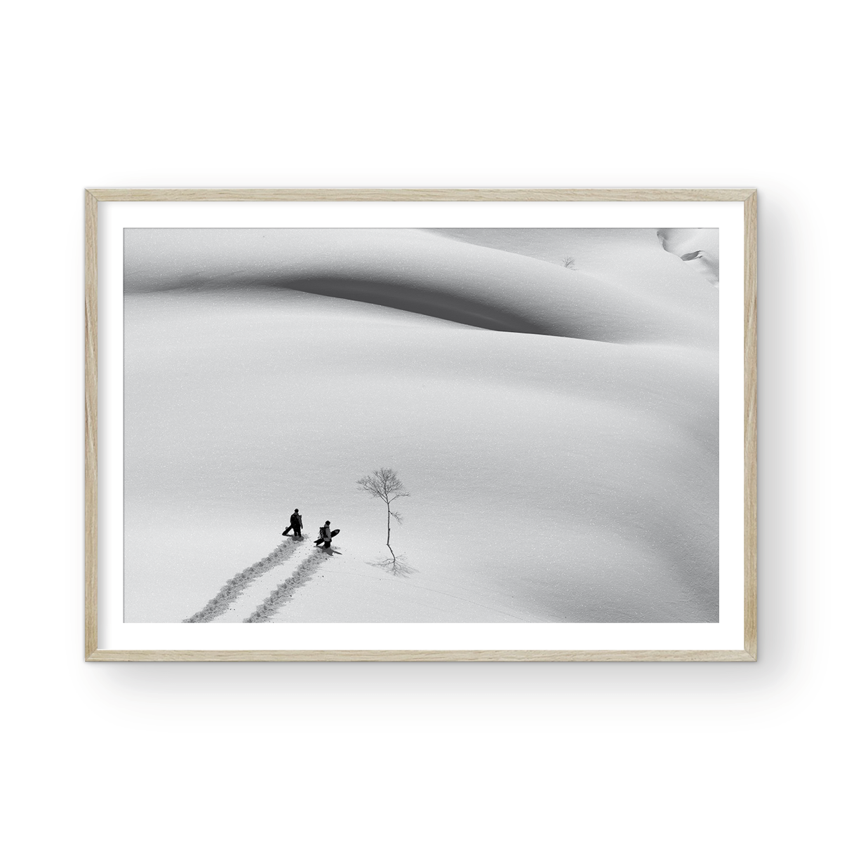 POWDER KINGDOM
