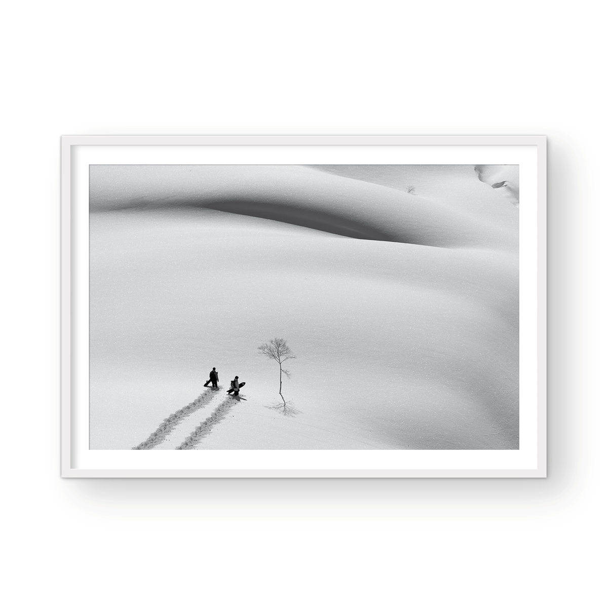 POWDER KINGDOM