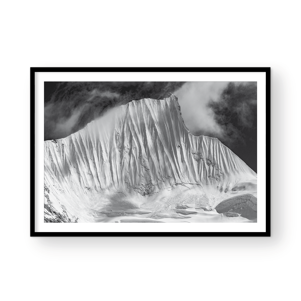 SHANGRI LA SPINES