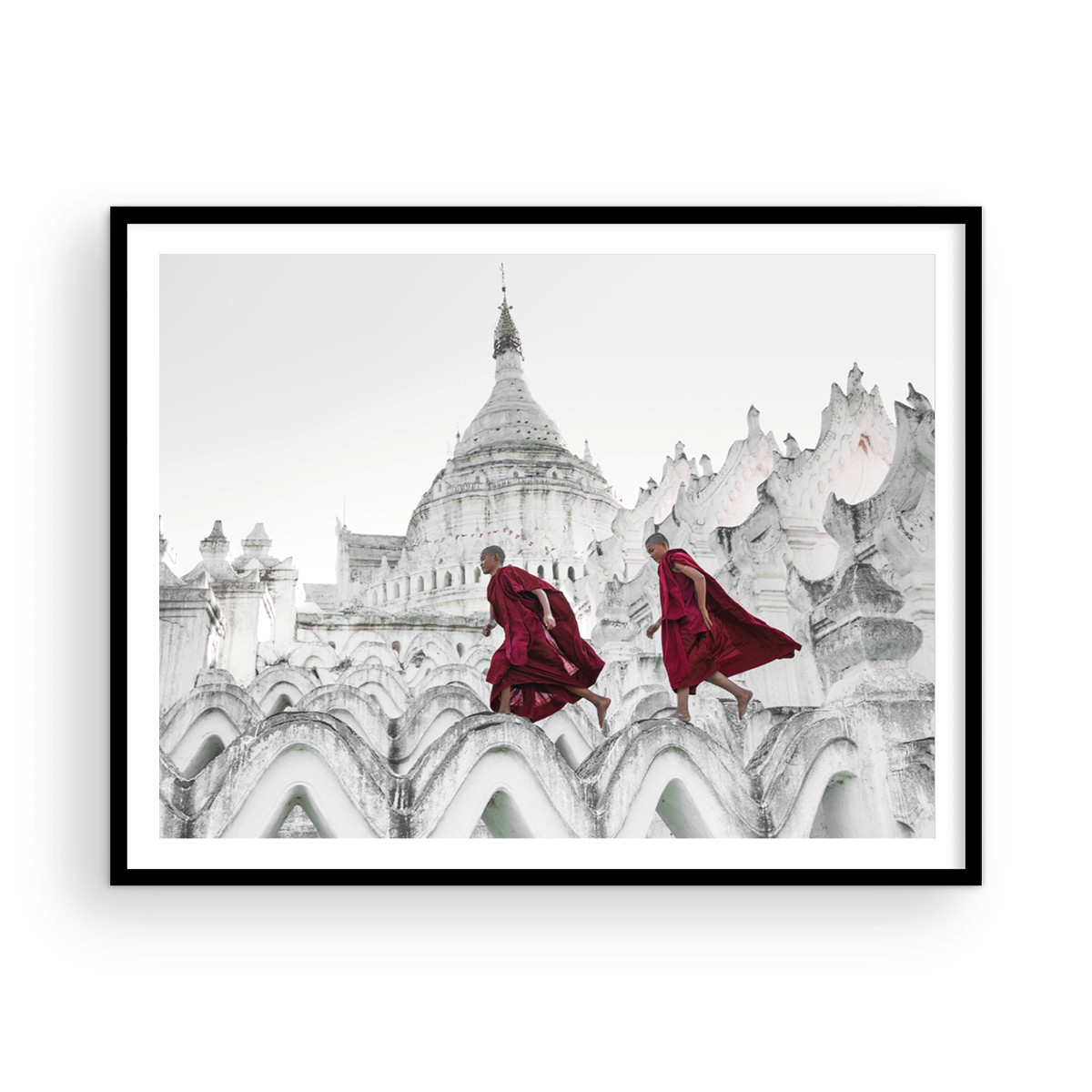 NOVICE MONKS
