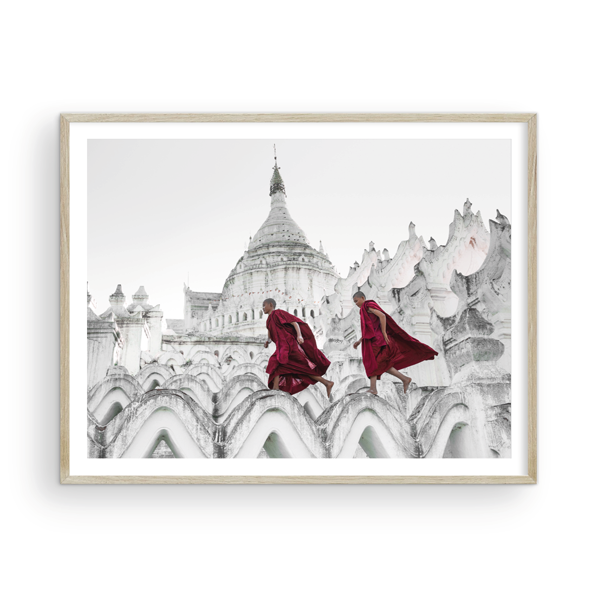 NOVICE MONKS