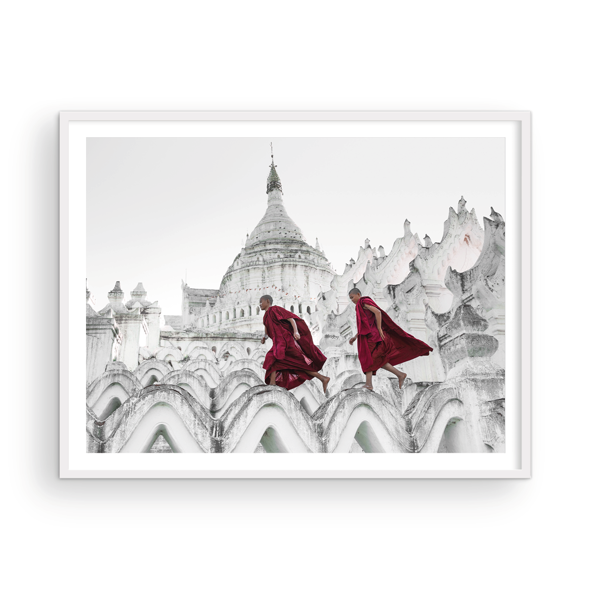 NOVICE MONKS
