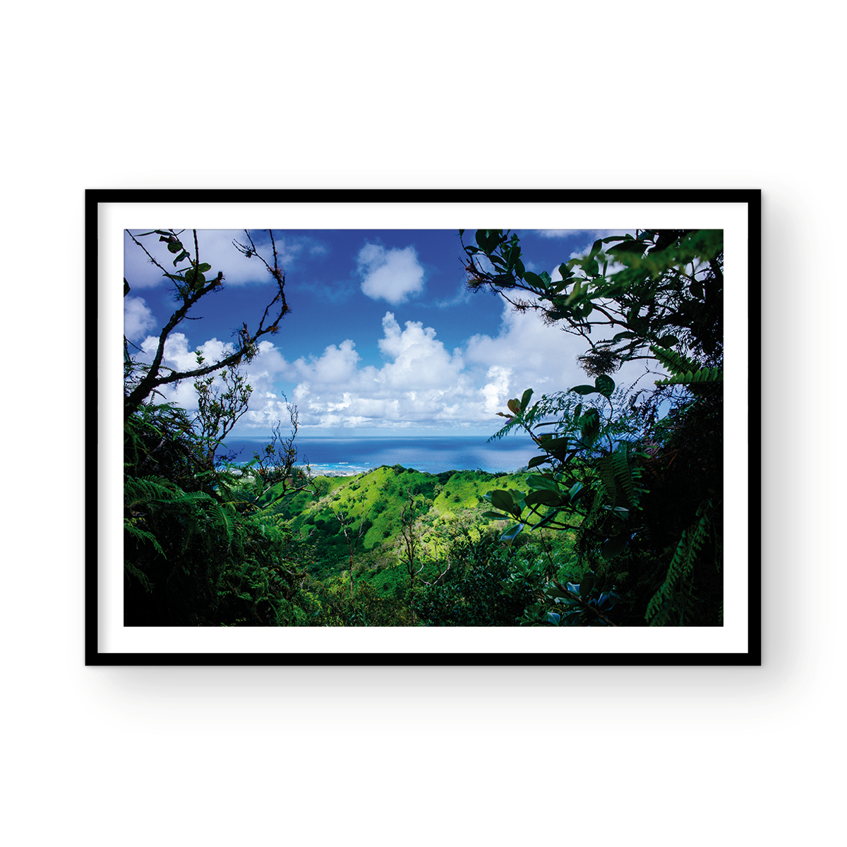EASTSIDE OAHU