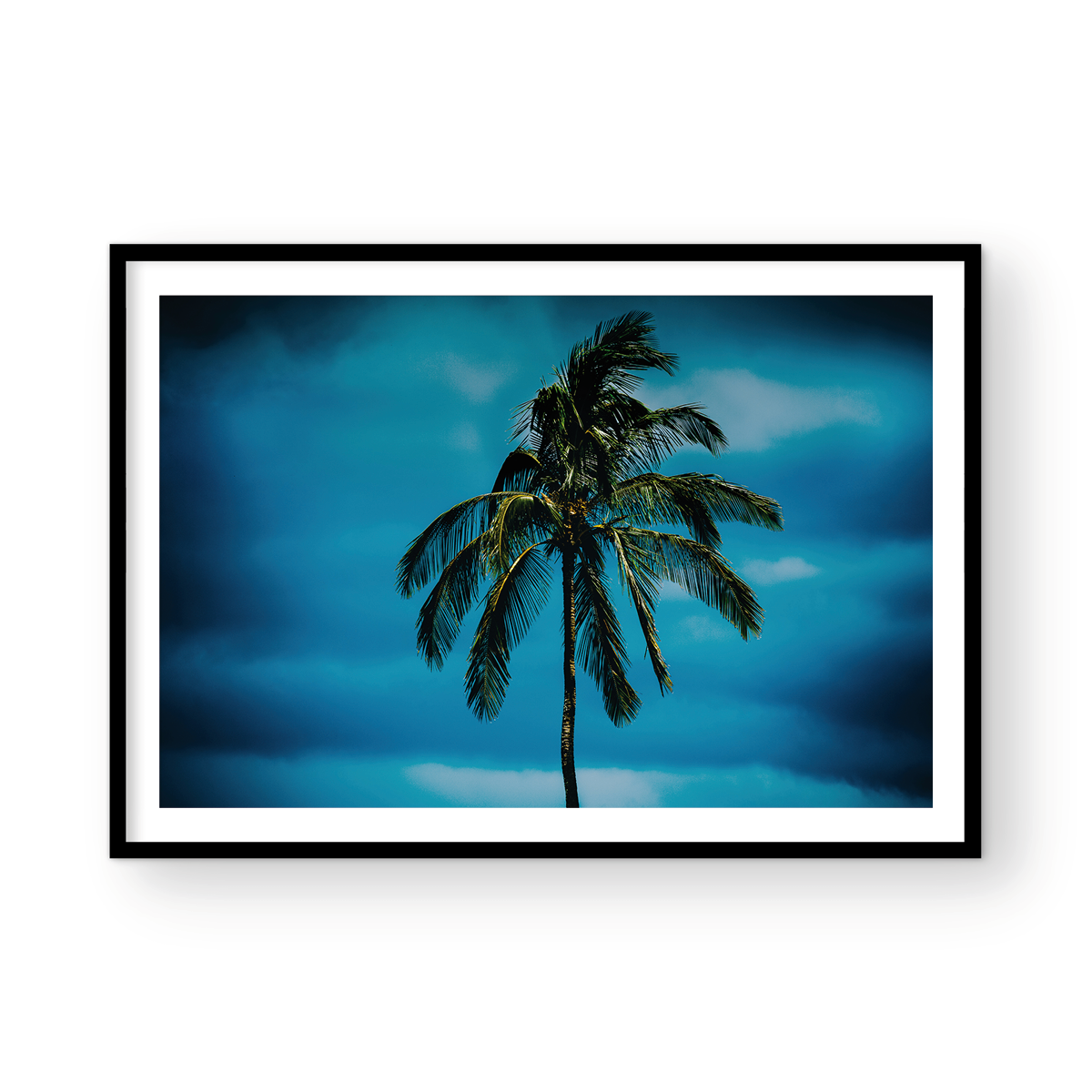 HAWAIIAN HURRICANE