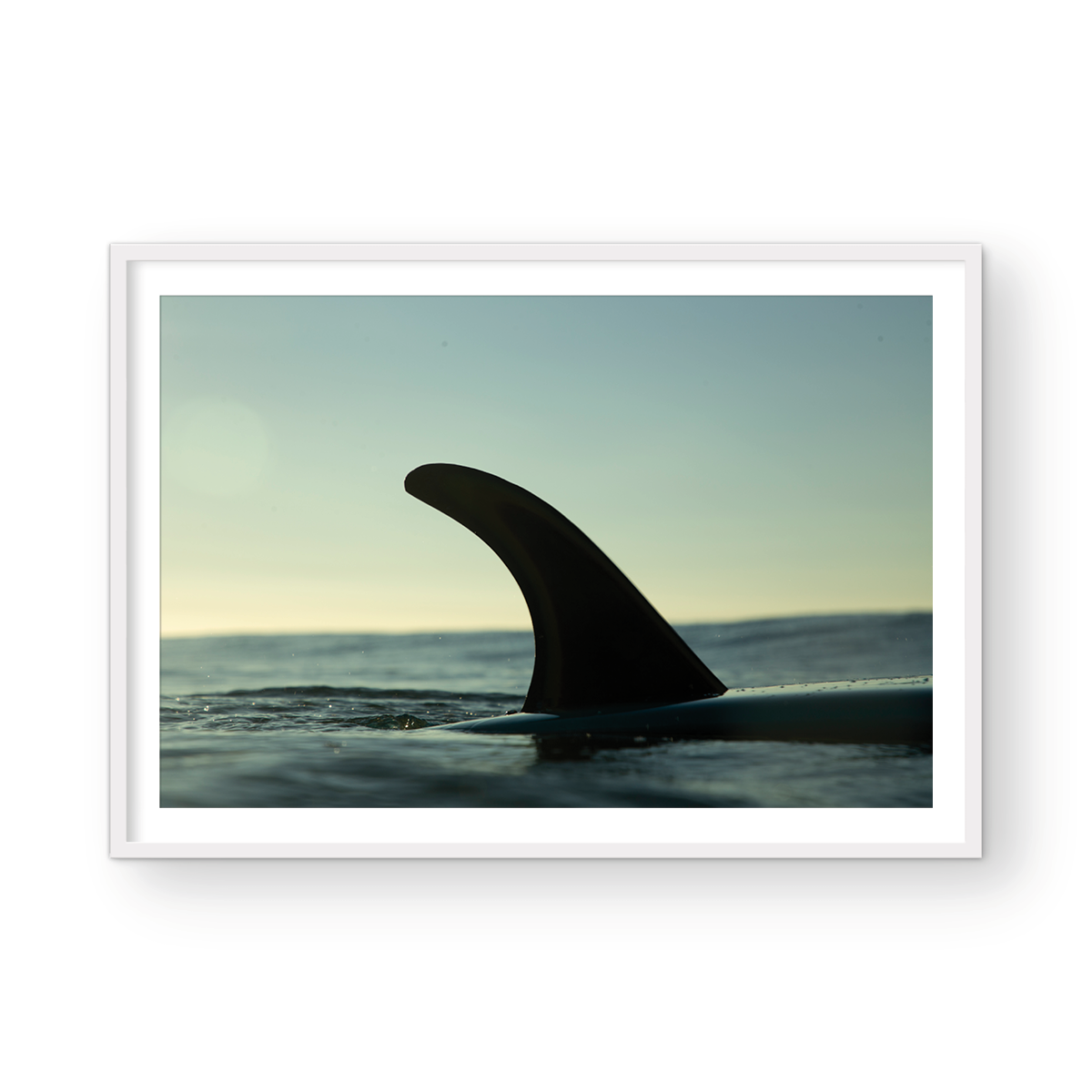 ONE BLACK FIN