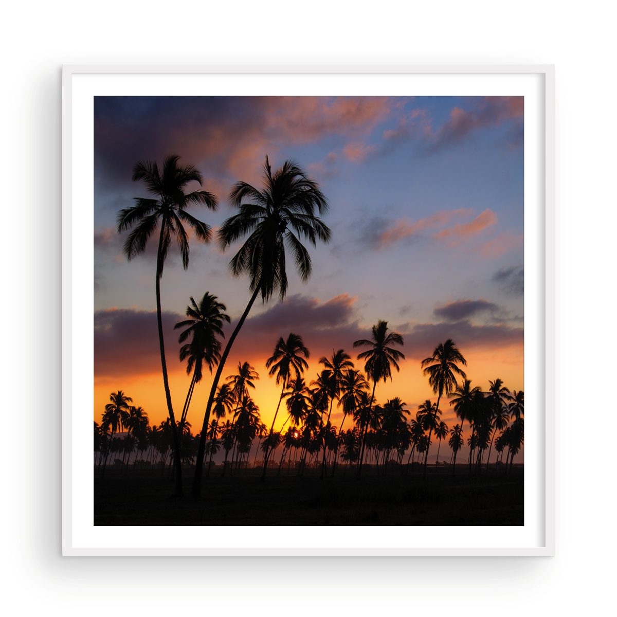 PARADISE FOUND
