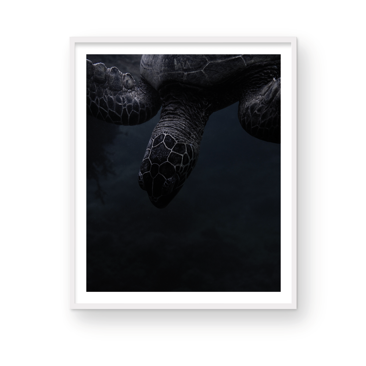 HONU