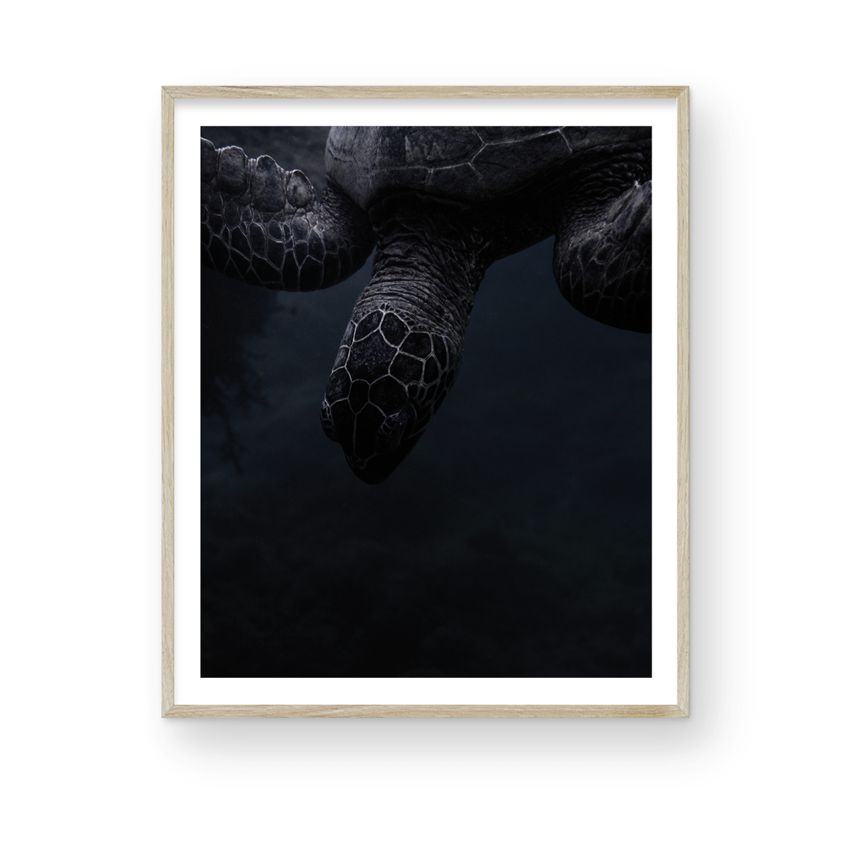 HONU