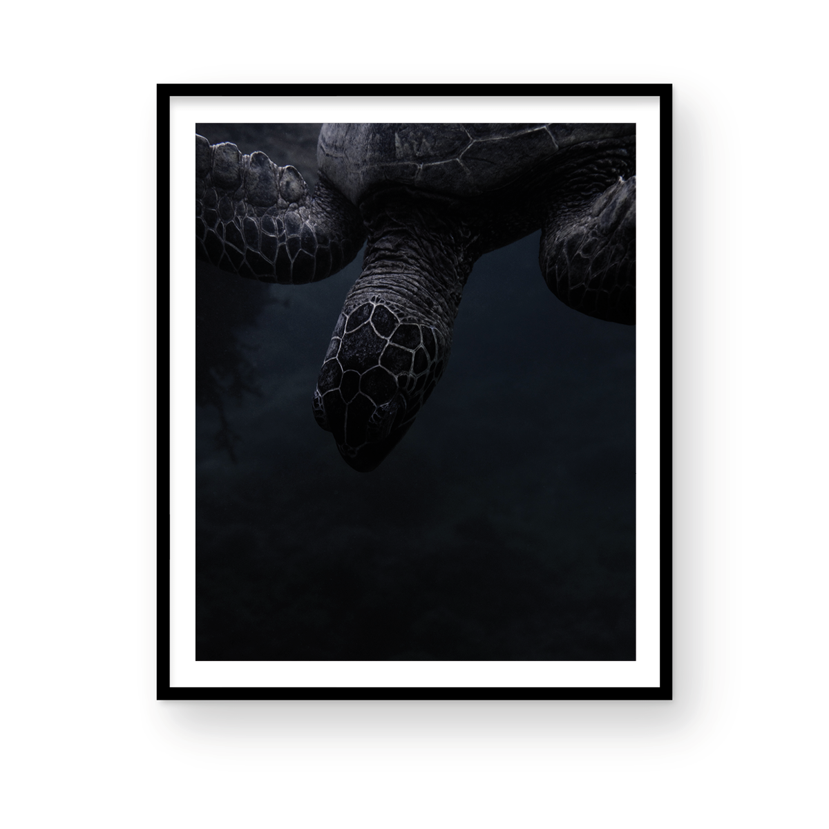 HONU