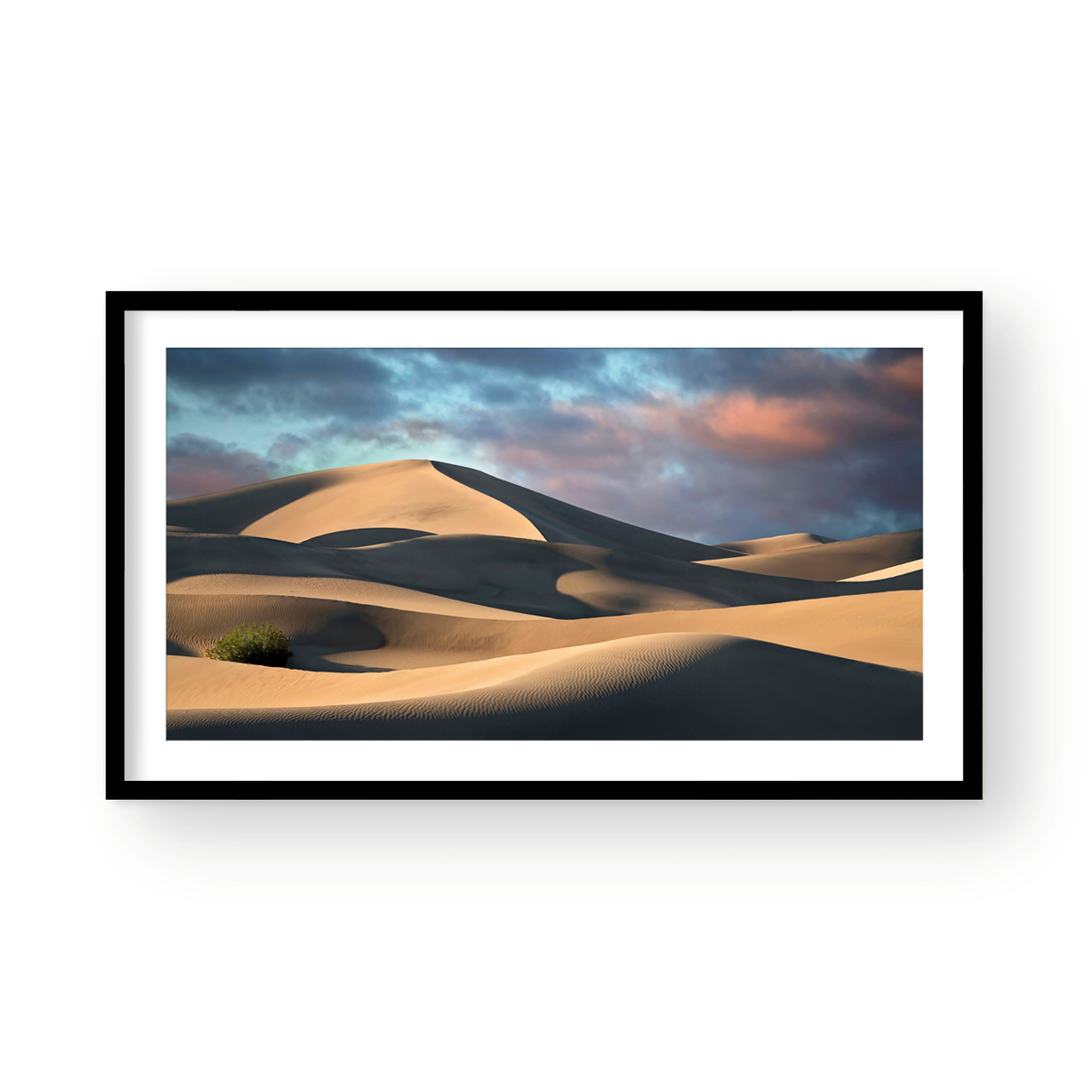 DUNES PANORAMIC