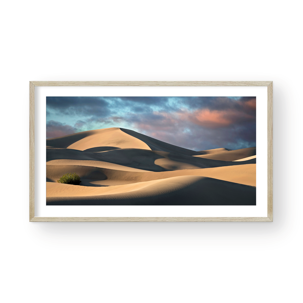 DUNES PANORAMIC