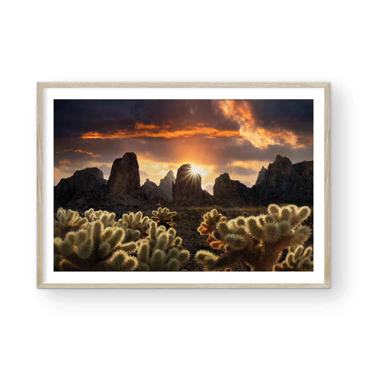 KOFA SUNRISE