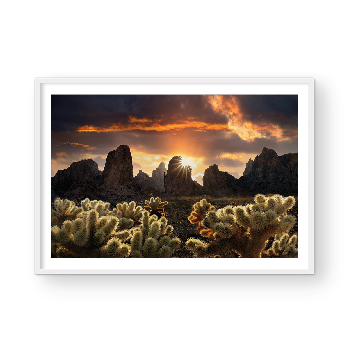 KOFA SUNRISE