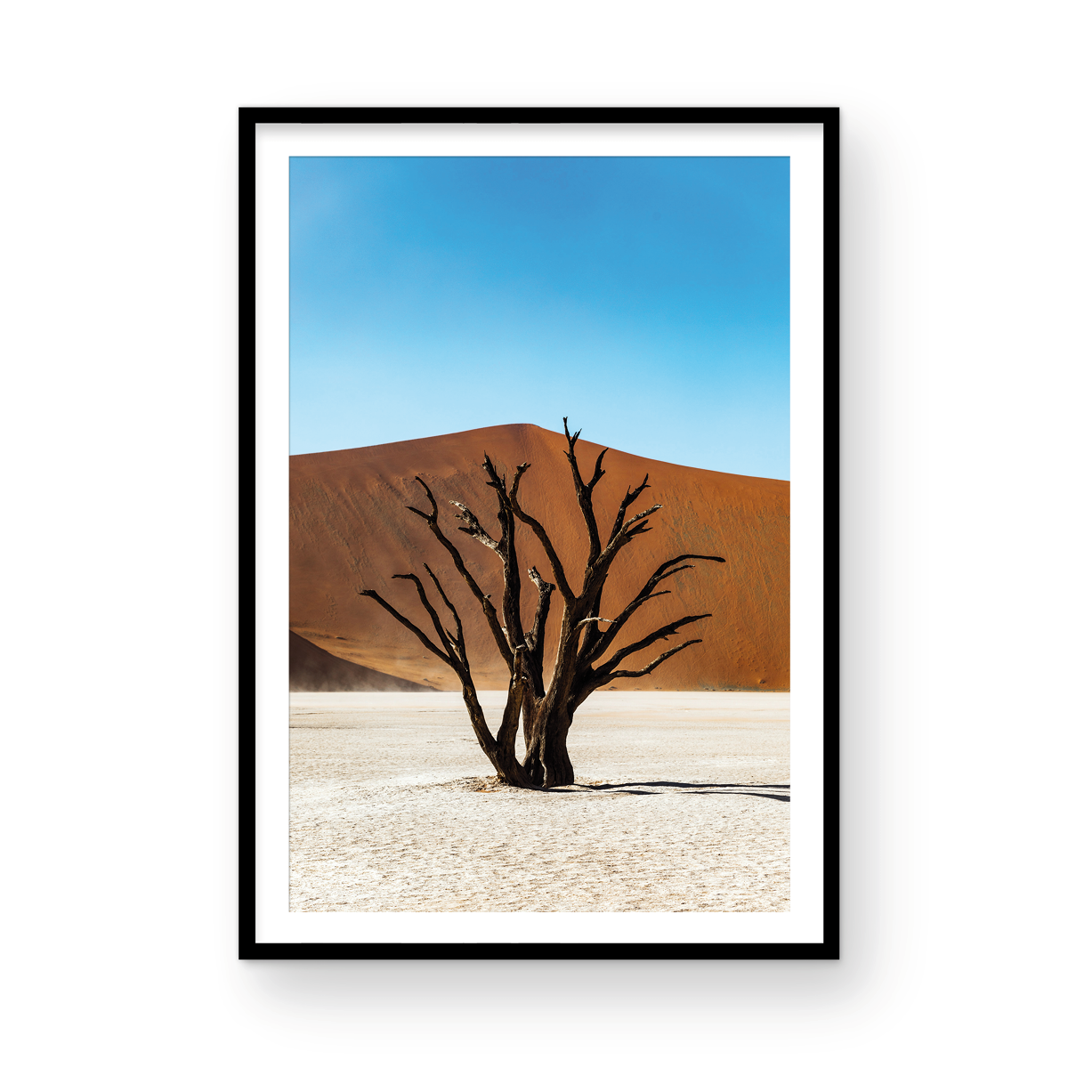 DEAD VLEI TREE