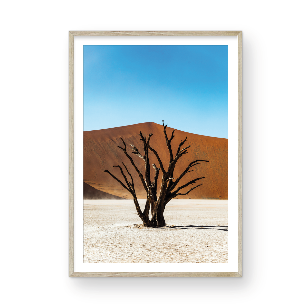 DEAD VLEI TREE
