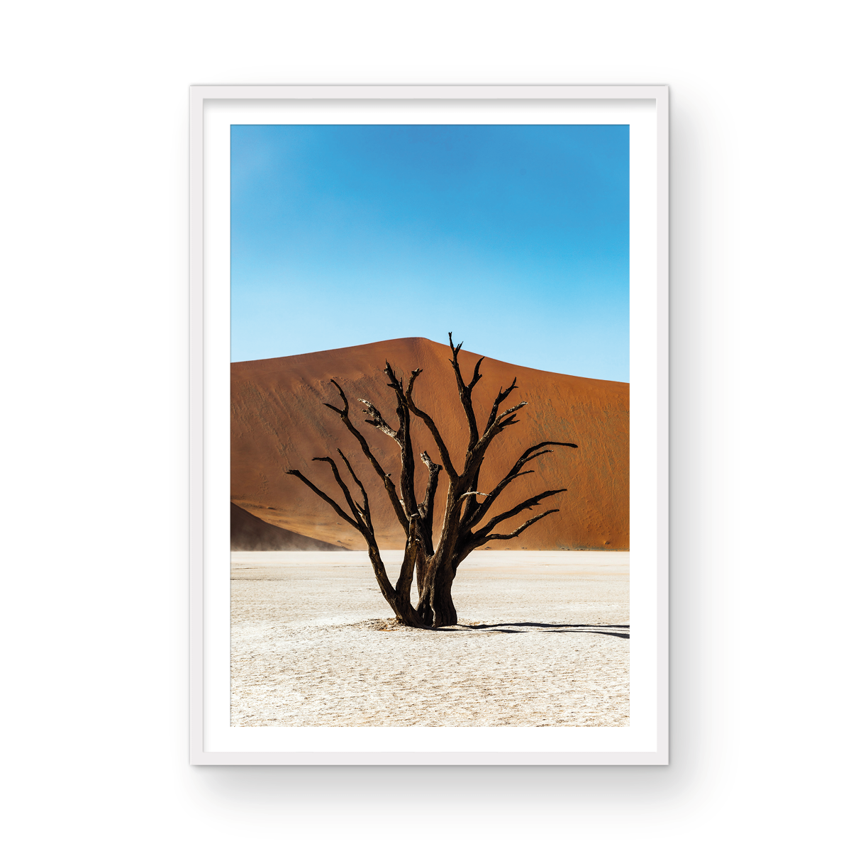 DEAD VLEI TREE