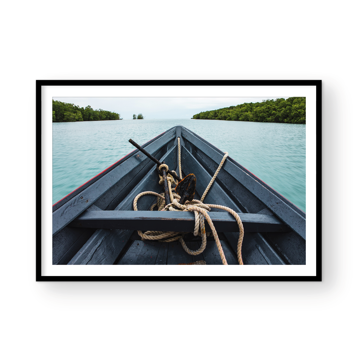 MANGROVE BOW