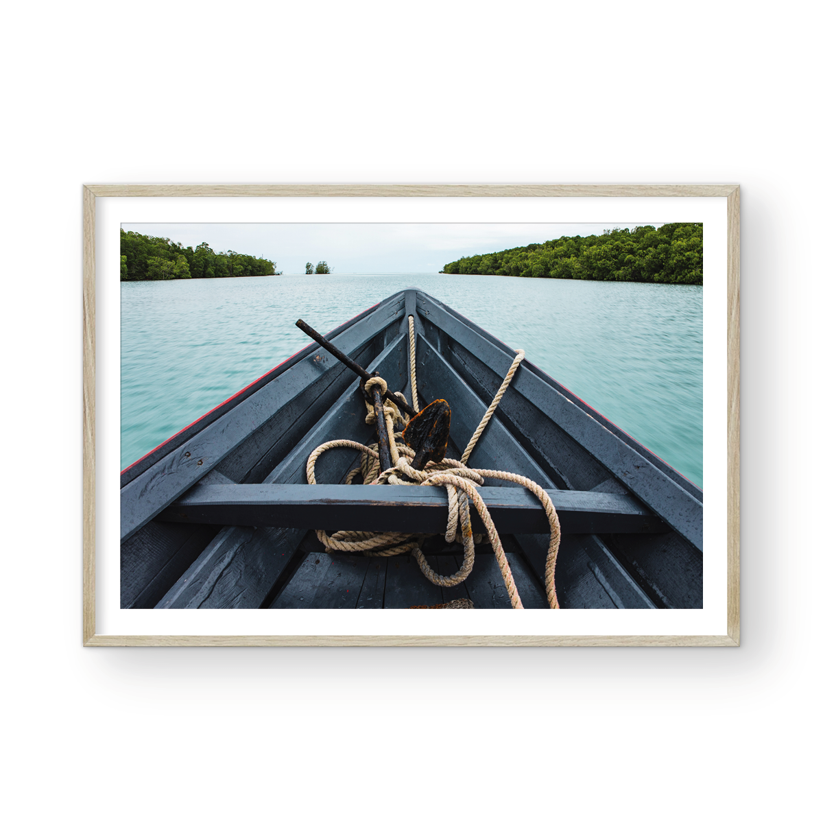 MANGROVE BOW