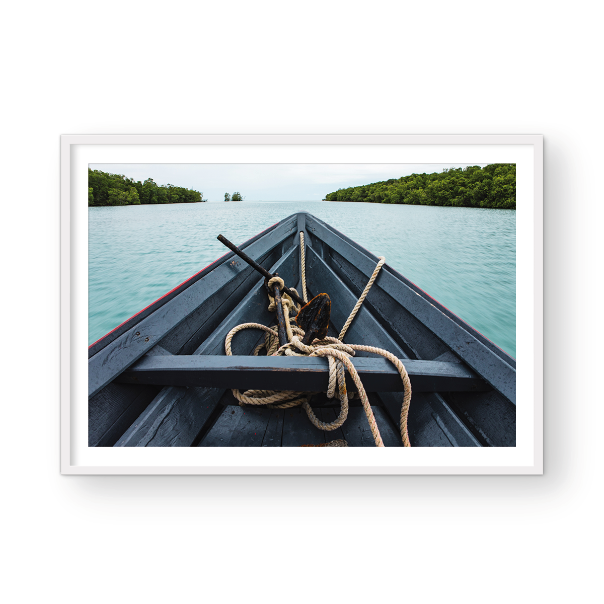 MANGROVE BOW