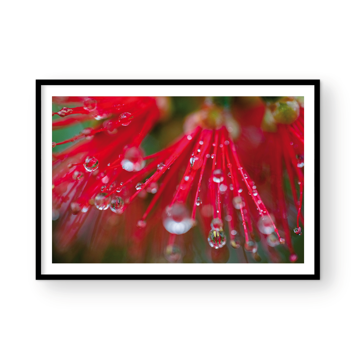 RAIN DROPLETS