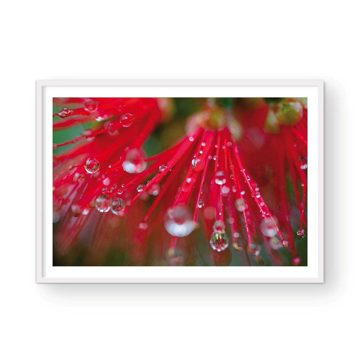 RAIN DROPLETS